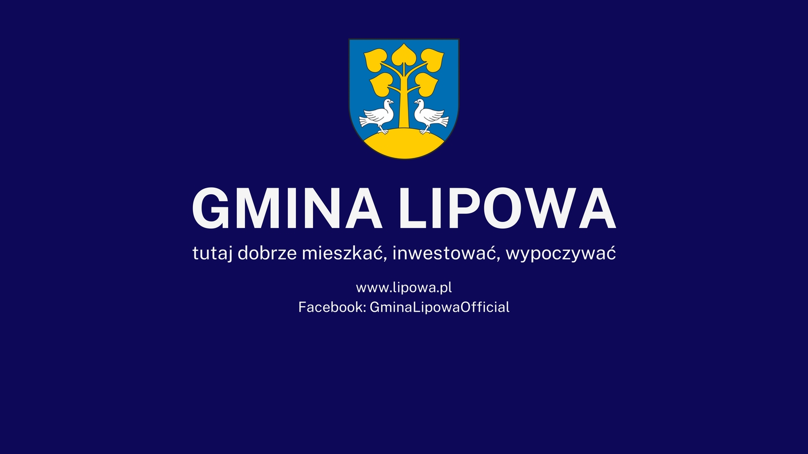 GMINA LIPOWA_podsumowanie roku_page-0001