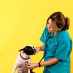 Lipowa: szczepienia psów przeciwko wściekliźnie