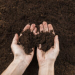 Doradztwo i badania w zakresie gleb