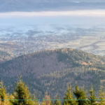 Podsumowanie XXIV Sesji Rady Gminy Lipowa z dn. 26.03.2026 r.