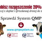 Dodatkowe pieniądze dla hodowców z QMP
