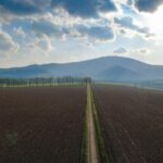 Ważny krok dla przyszłości naszej Gminy: Radni przyjęli Plan Ogólny!