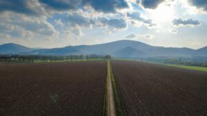 Ważny krok dla przyszłości naszej Gminy: Radni przyjęli Plan Ogólny!